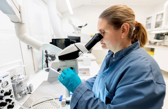 preclinical kidney disease models
