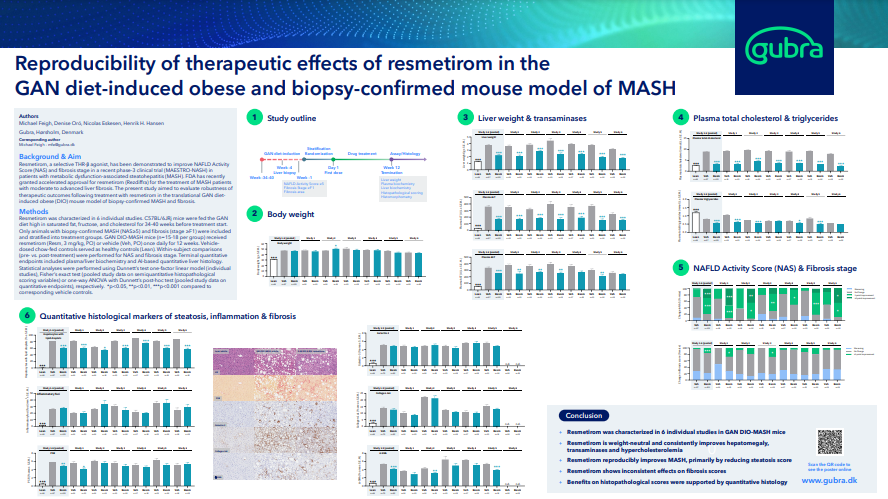 GAN diet-induced mice model of MASH