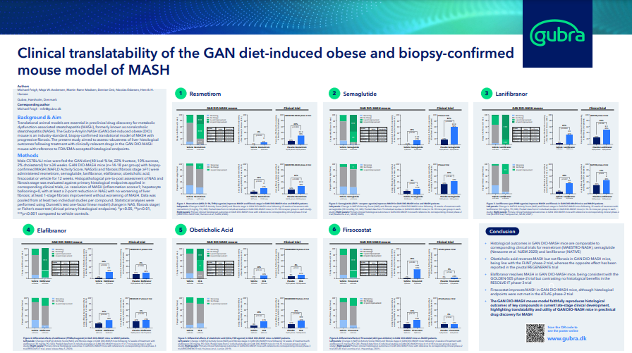 GAN diet-induced obese mice model