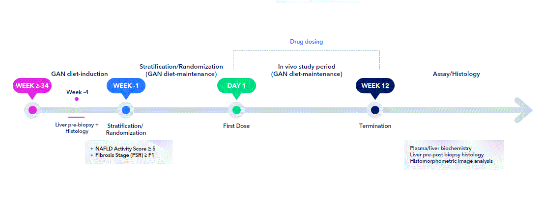 FDA approval Resmetirom MASH