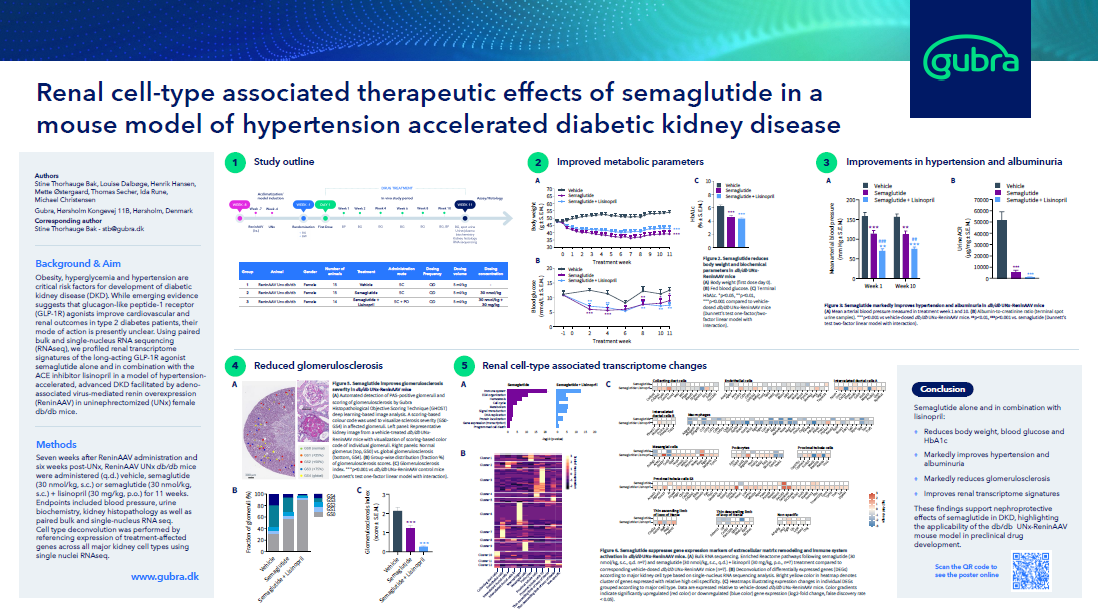 Preclinical Research Models of Obesity