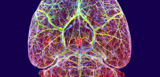 CNS_front CNS_front